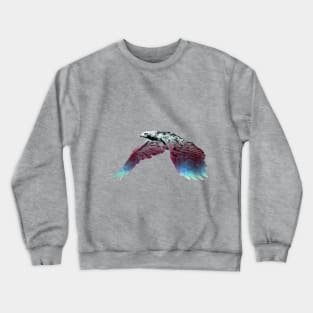 Flying Eagle Evolving Energy Crewneck Sweatshirt